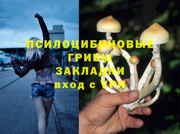 хмурый Белоозёрский