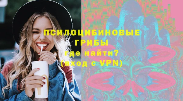 a pvp Белокуриха