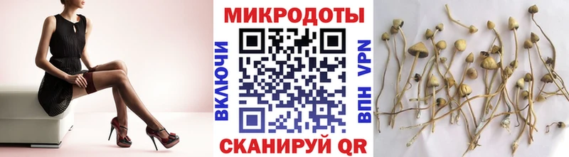 Псилоцибиновые грибы GOLDEN TEACHER  кракен ССЫЛКА  Белая Холуница 
